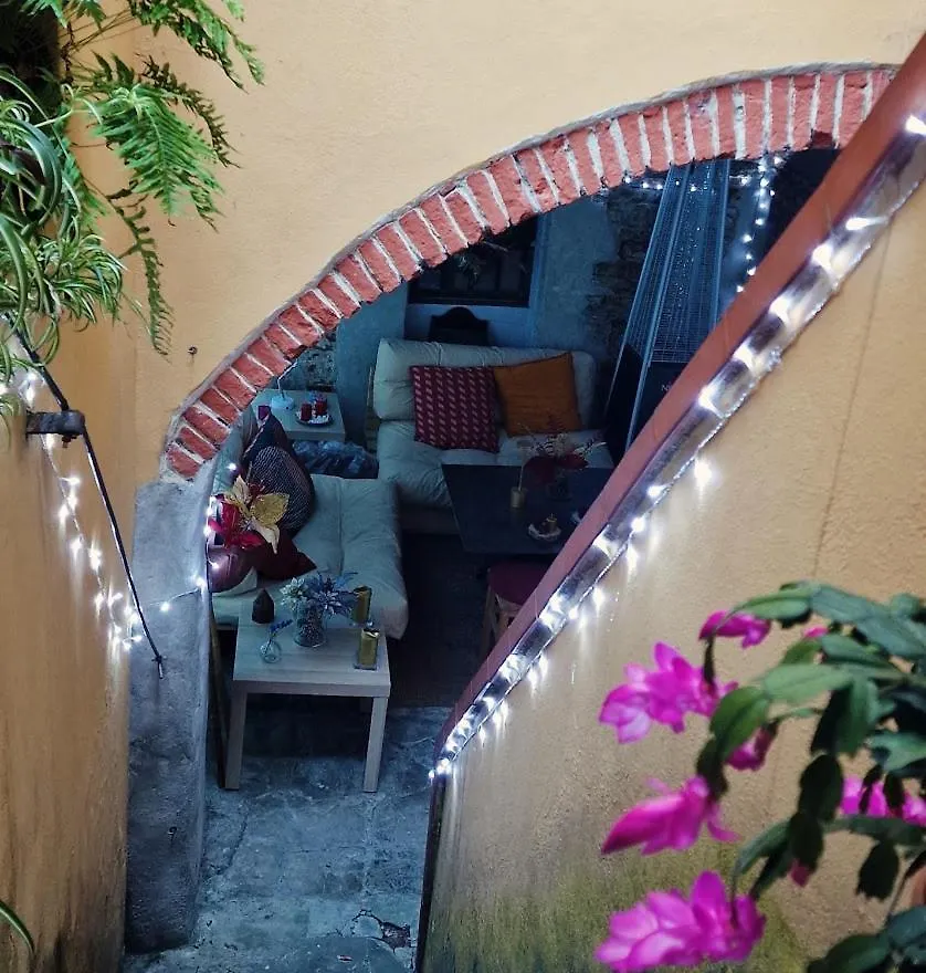 דירה פירנצה Monica Appartamento Con Giardino Al Ponte Vecchio איטליה